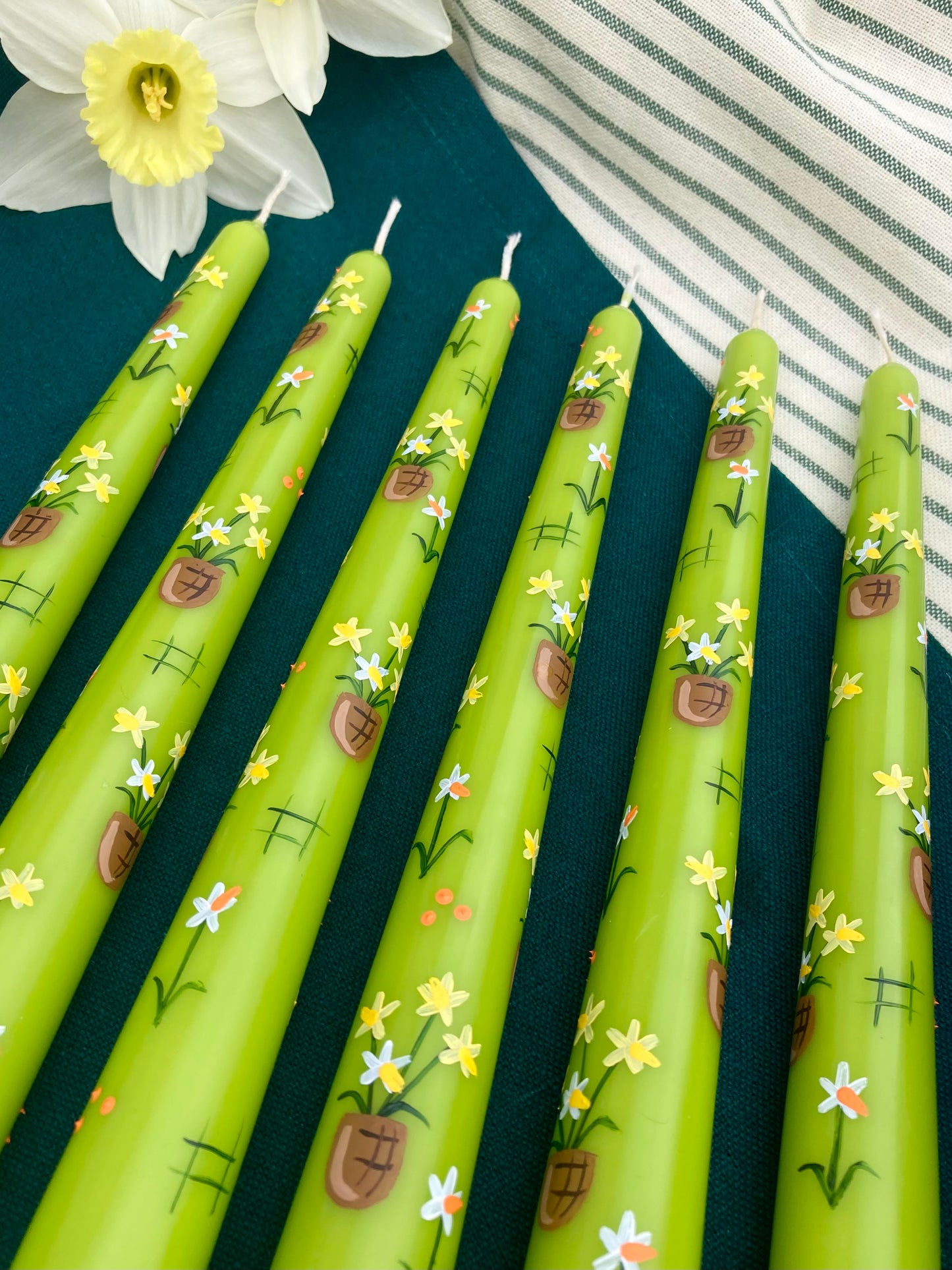 Daffodil Pots - ONLY 3 LEFT